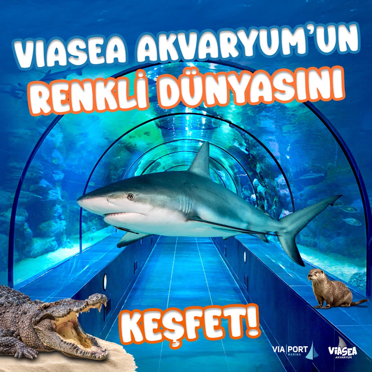 Viasea Aquarium Ticket - 2